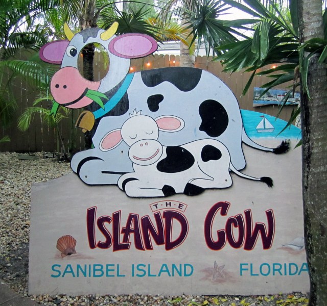 Fun for kids outside!